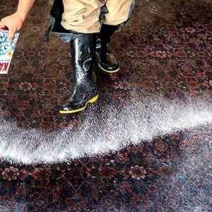 Igiene domestica tappeti - pulizia e lavaggio-2