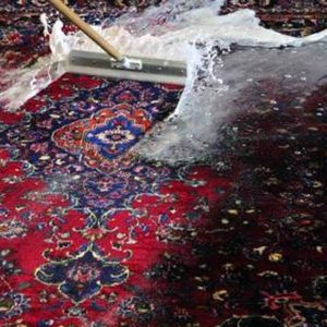 Igiene domestica tappeti - pulizia e lavaggio-3